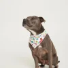 Aussie Down Under Pet Bandana