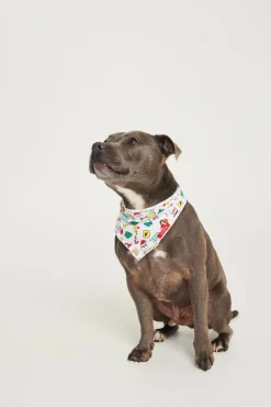Aussie Down Under Pet Bandana