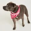 Aussie Fair Isle Pet Bandana