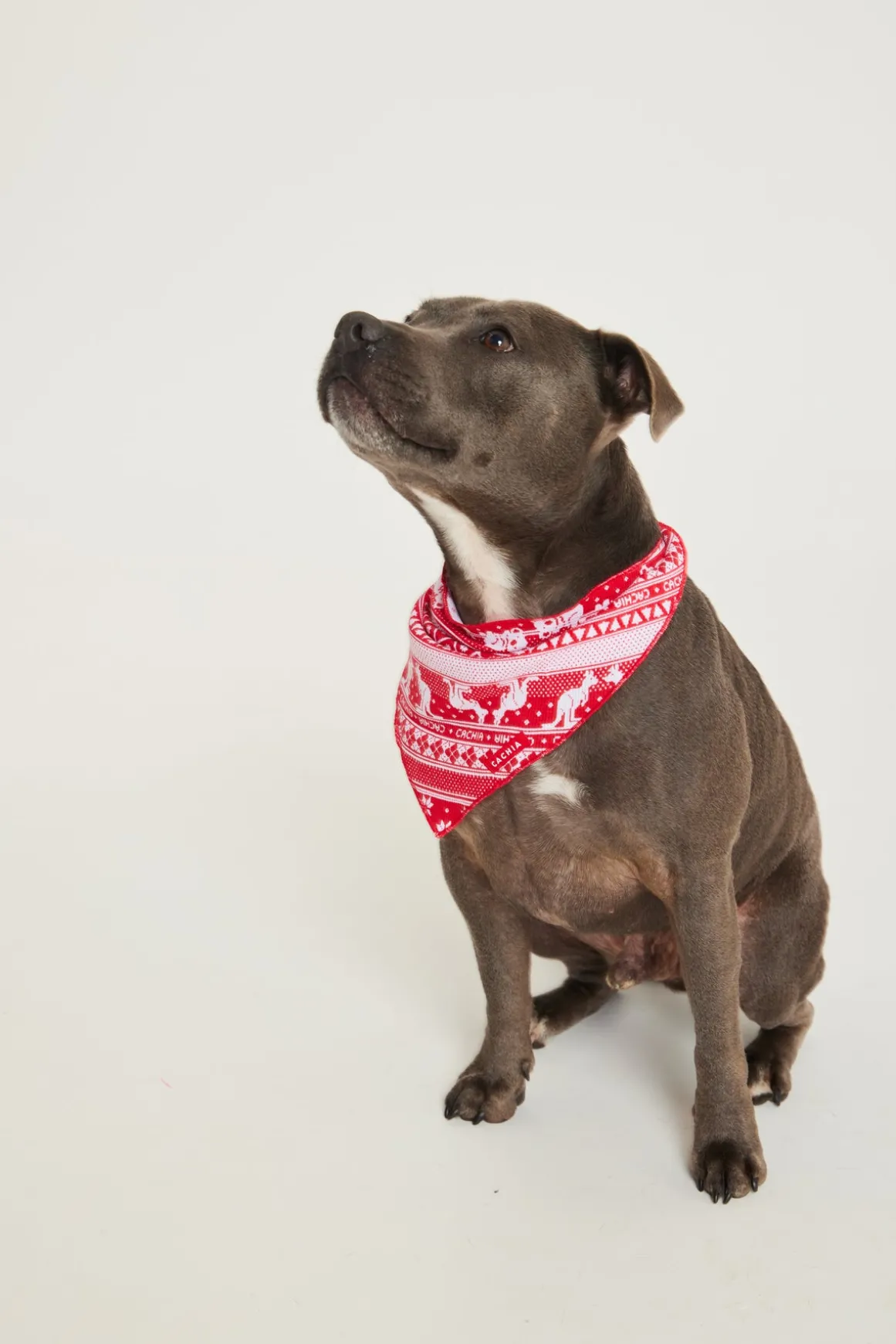 Aussie Fair Isle Pet Bandana