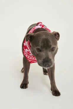 Aussie Fair Isle Pet Bandana