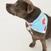 Jolly Blue Pet Bandana