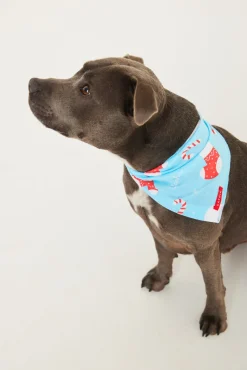 Jolly Blue Pet Bandana