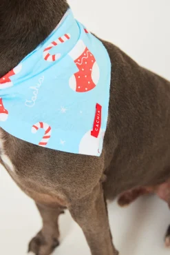 Jolly Blue Pet Bandana