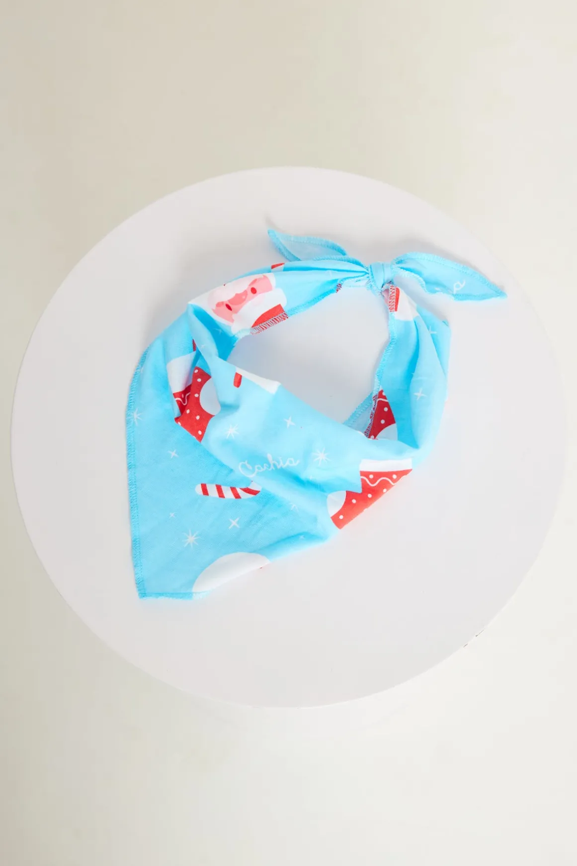 Jolly Blue Pet Bandana