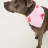 Jolly Pink Pet Bandana