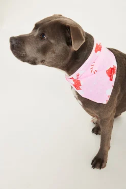 Jolly Pink Pet Bandana