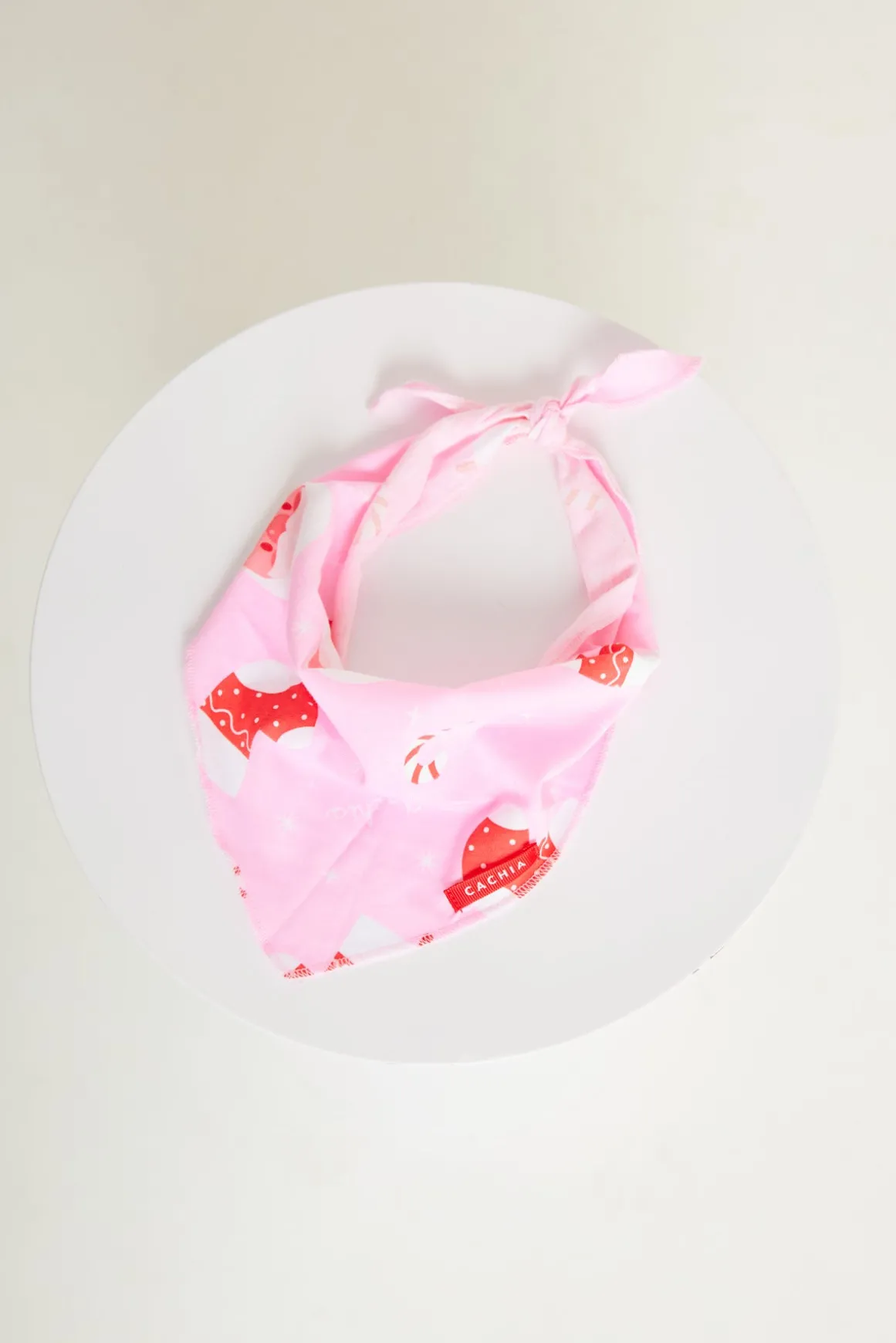 Jolly Pink Pet Bandana