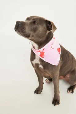 Jolly Pink Pet Bandana