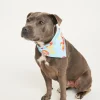 Shrimp on the Barbie Mint Pet Bandana